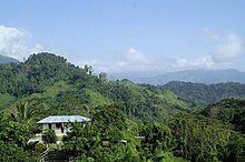 An overview look at a coffee farm Coffee Farm.jpg