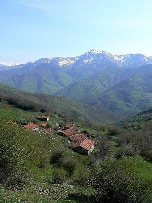 National And Regional Identity In Spain