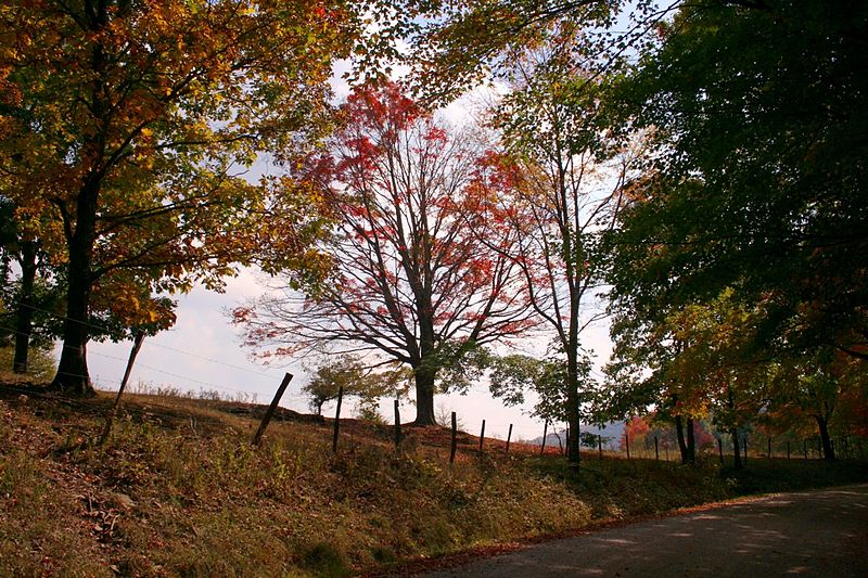 File:Country-roads-1 - West Virginia - ForestWander.jpg