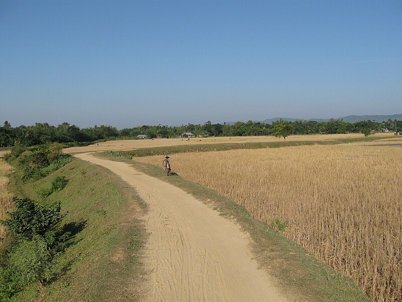 File:Country road durgapur netrokona.JPG