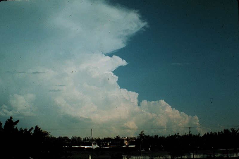 File:Cumulonimbus8 - NOAA.jpg