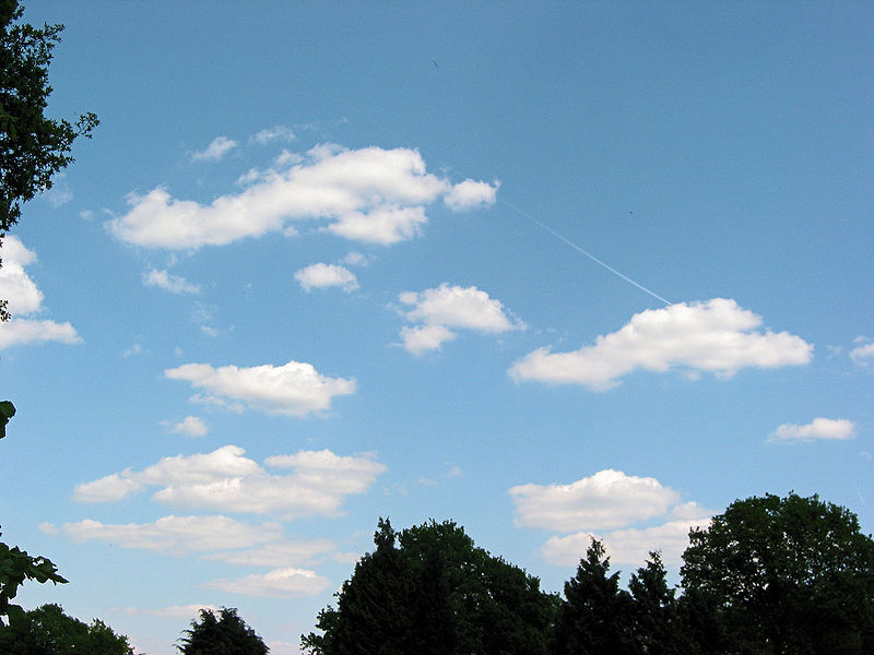 File:Cumulus humilis.jpg