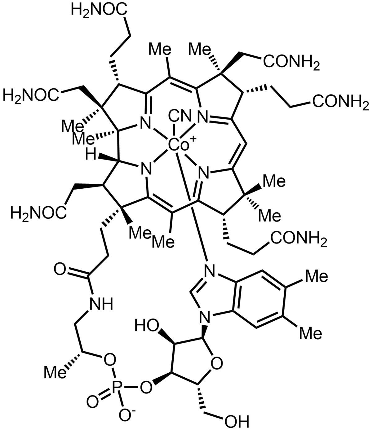 The ligand system present in vitamin B12  is:a)Porphyrinb)Corrinc)Phthalocyanined)Crown etherCorrect answer is option  'B'. Can you explain this answer? - EduRev Chemistry Question