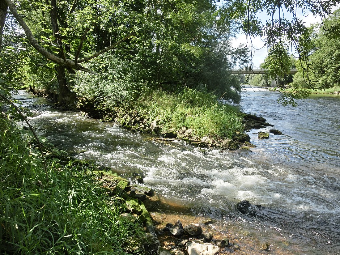 Ostrach (Donau)