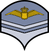 Danish Airforce OR-2 Sleeve.svg