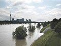 Neue Donau, Donauinsel, 25. Juni 2009