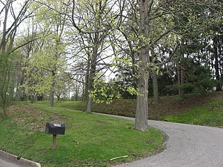 <span class="mw-page-title-main">David and Lucy Tarr Fleming Mansion</span> Historic house in West Virginia, United States