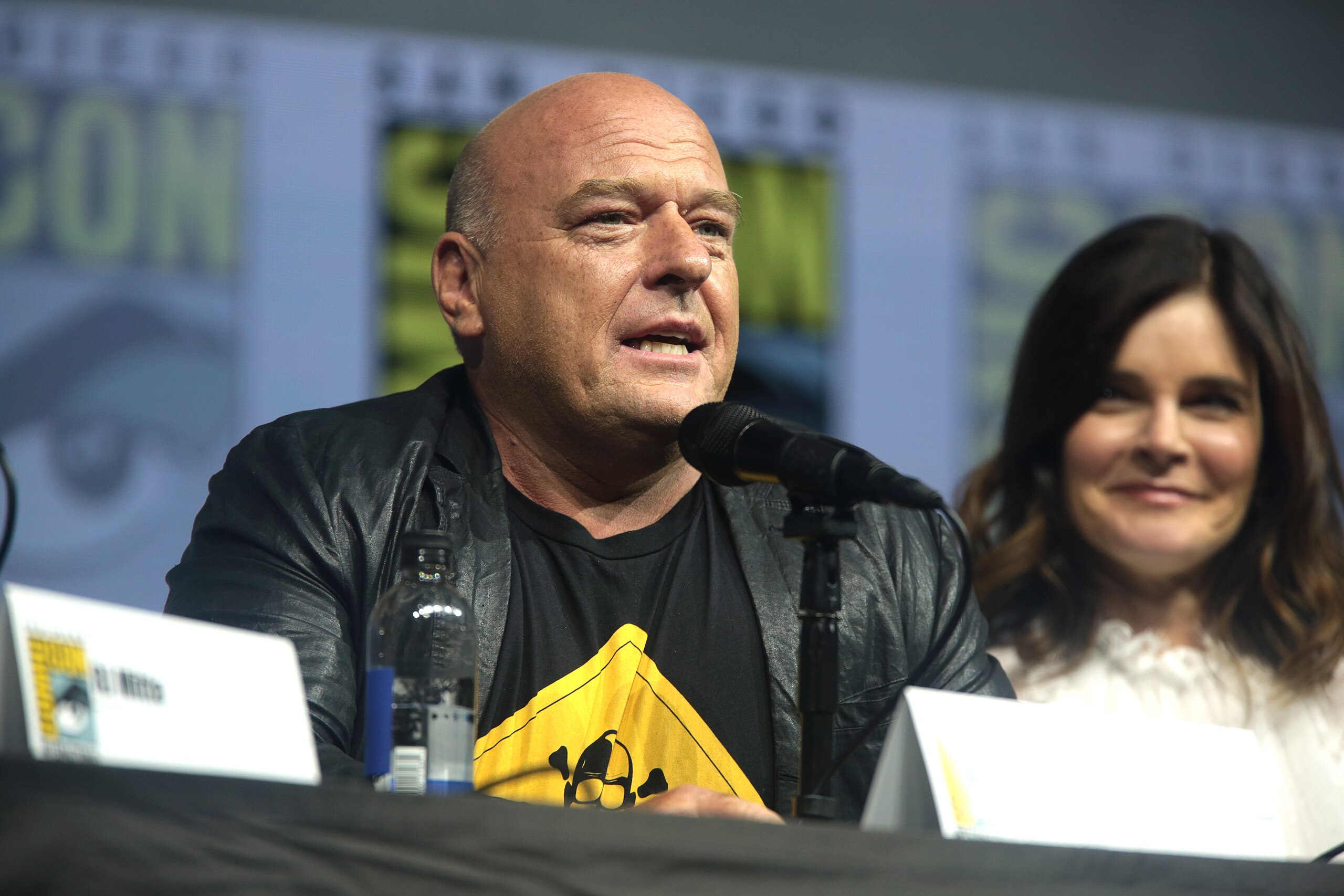 Dean Norris - Wikipedia