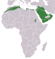 Aire de répartition d'Hérisson du désert