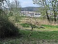 Blick über die Geroldswiler Auen an der Limmat