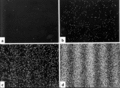 Pisipilt versioonist seisuga 6. jaanuar 2006, kell 14:56