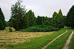 Vorschaubild für Arboretum Dubrava