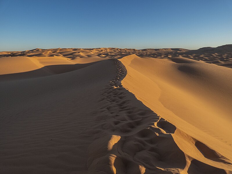 File:Dunes Aïn Loussig Mansoura.jpg