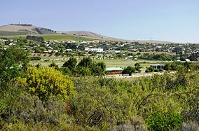 Cagar Alam dan arena balap Cape Town SA.jpg