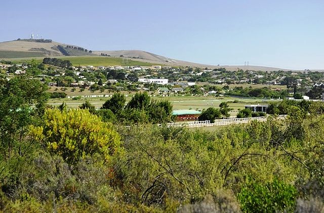 Image: Durbanville Nature Reserve and racecourse Cape Town SA