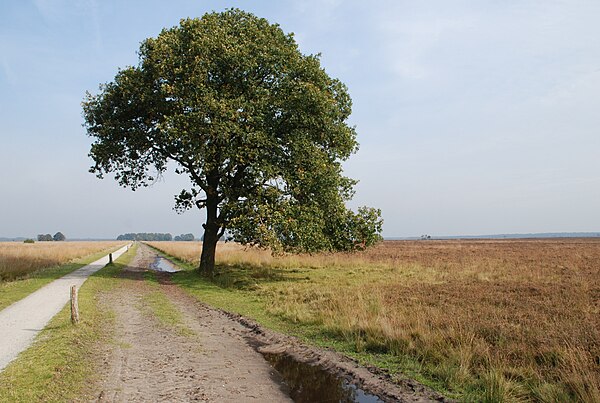 Dwingelderveld National Park