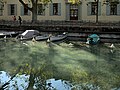 * Nomination: Transparent water under a sunbeam on the Vassé canal at Annecy, France. --Touam 18:16, 3 November 2023 (UTC) * Review Please check the verticals. --Ermell 20:16, 3 November 2023 (UTC)