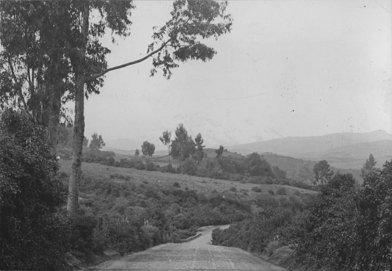 File:Ecuador - 42-5365 - Pan American Highway paved with cobblestones.jpg