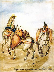 İki yük hayvanına liderlik eden at sırtında bir adamın resmi
