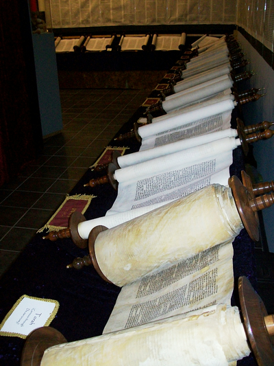 Complete set of scrolls, constituting the entire Tanakh