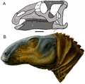 Miniatura para Paleontología