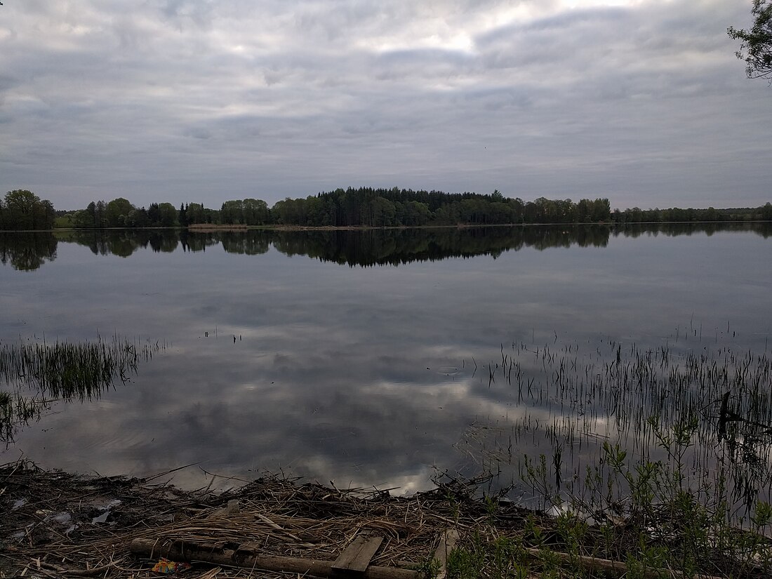 Erzvėtase järv