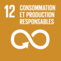 Vignette pour Objectif de développement durable no 12 des Nations unies