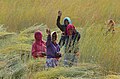 Femmes, région de Ranakhpur.jpg