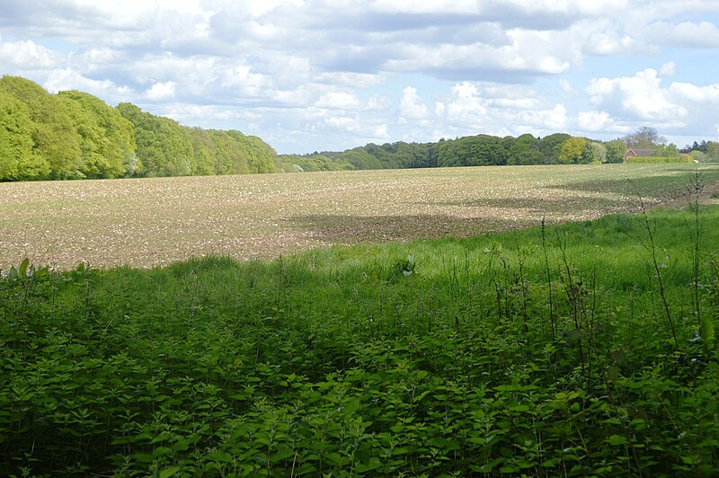 File:Field on the top of Brush Hill - geograph.org.uk - 5391640.jpg