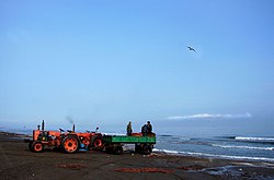 Iranian fishermen by the Mazandaran Sea Fishermen with tractors at Caspian Sea.jpg