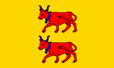 Flag of Béarn.svg