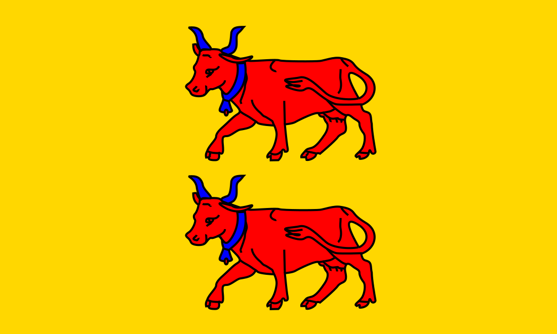 File:Flag of Béarn.svg