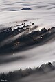 Fog over Mill Valley near Mt. Tamalpais.jpg