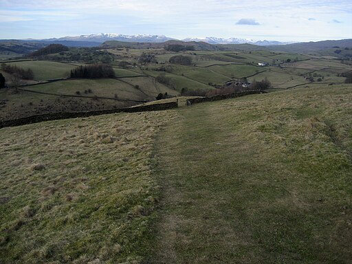 Footpath from Potter Tarn - geograph.org.uk - 1704730