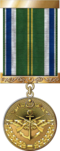For impeccable service medal 2nd degree.png