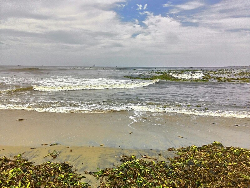 File:Fort Kochin beach, Kerala.jpg