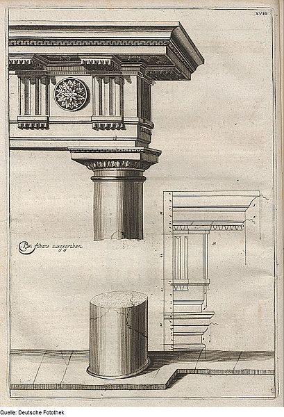 File:Fotothek df tg 0007998 Architektur ^ Säule ^ Kapitell ^ Triglyphe ^ Metope ^ Regula ^ Gutta ^ Mutulus ^.jpg