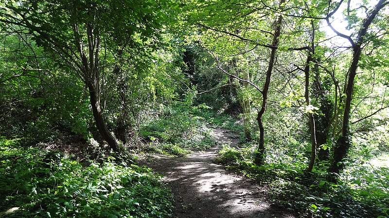 File:Fox Wood, Ealing 4.JPG