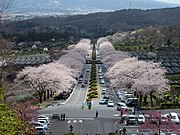 静岡県小山町・冨士霊園