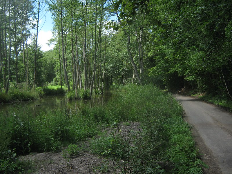 File:Furnace Lane and Kent Water - geograph.org.uk - 1950216.jpg