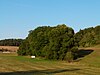 Wooded part of the ReiglersbachBeiOßhaldenP1080562.jpg