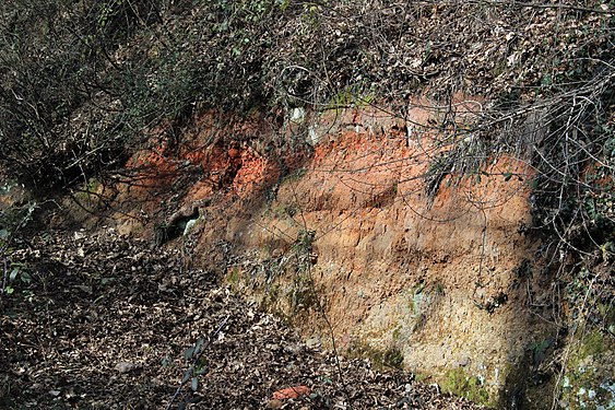 Geosite of the caldera of the Vico Lake formed by volcanic activity