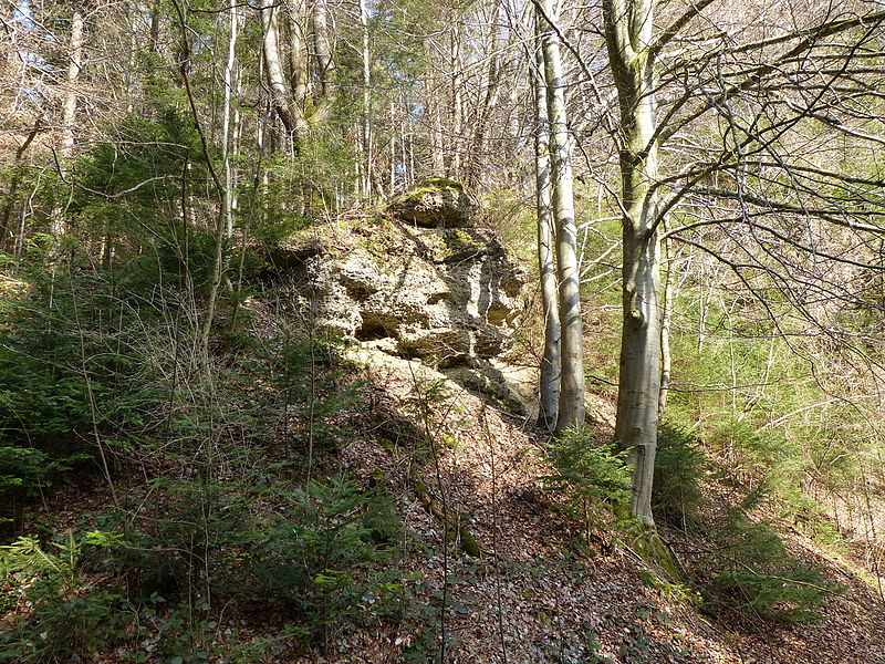 File:Geotop Nagelfluh-Aufschluss W von Bad Grönenbach 18.JPG