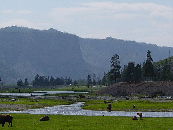 Image: Gibbon River at Madison in Yellowstone