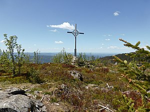 Summit of the gentian