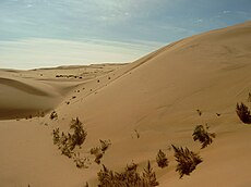 北側にはゴビ砂漠が広がっている