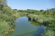 Groote Beek, westlich der Straßenbrücke der Bundesstraße 111