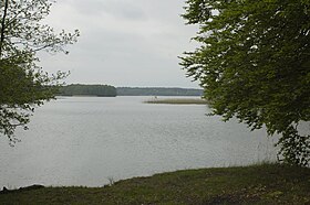 A Lychen-tó nagycikkének szemléltető képe