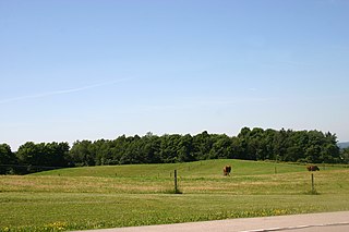 <span class="mw-page-title-main">Gainesville, New York</span> Town in New York, United States