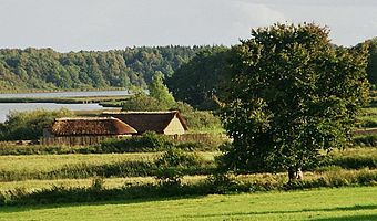 Rekonstruierte Häuser von Haithabu